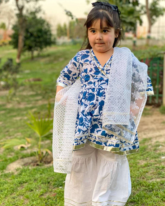 Blue Mirror Work Angrakha Gharara Set with Organza Dupatta for Girls
